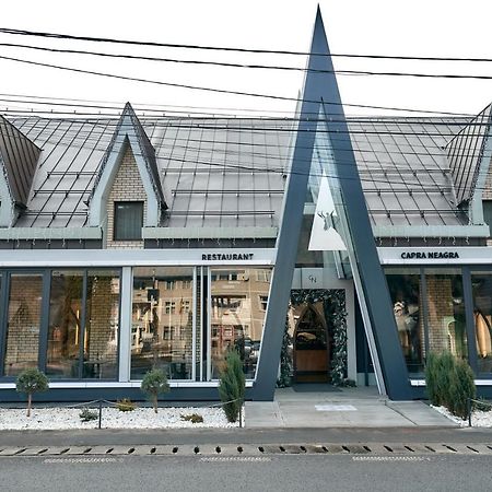 Pensiune Restaurant Capra Neagra Moisei Eksteriør billede